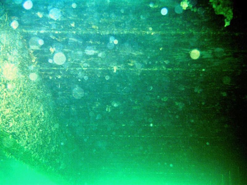 Sudany_diving_053