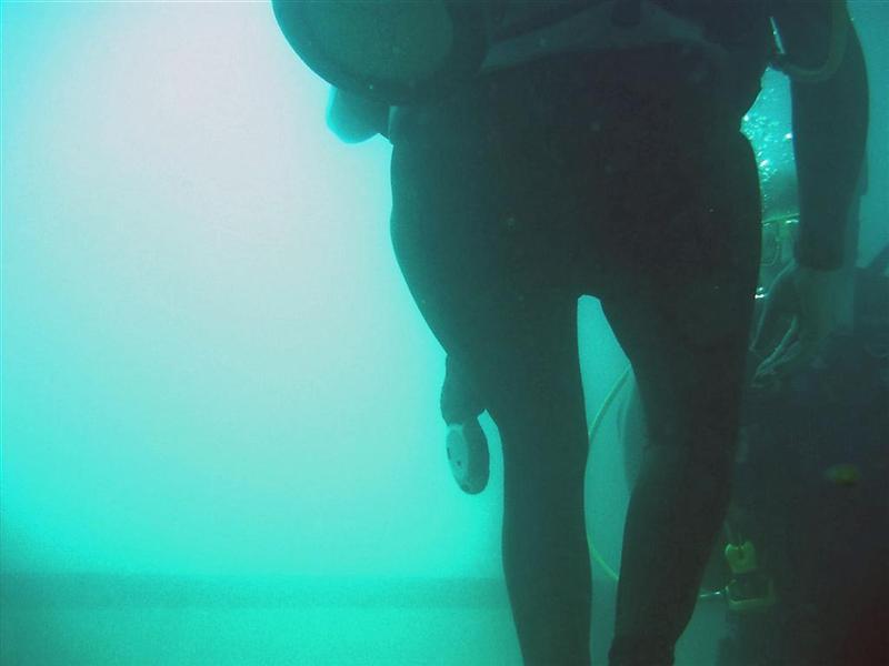Sudany_diving_054