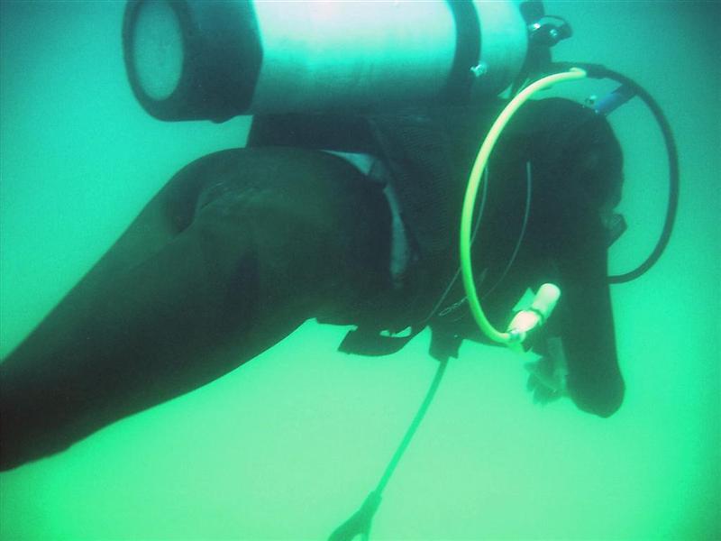 Sudany_diving_055
