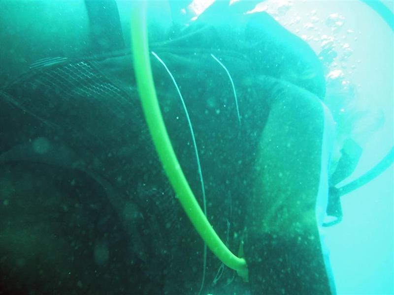 Sudany_diving_060