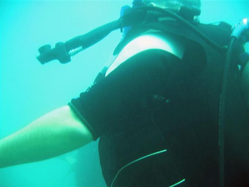 Sudany_diving_068