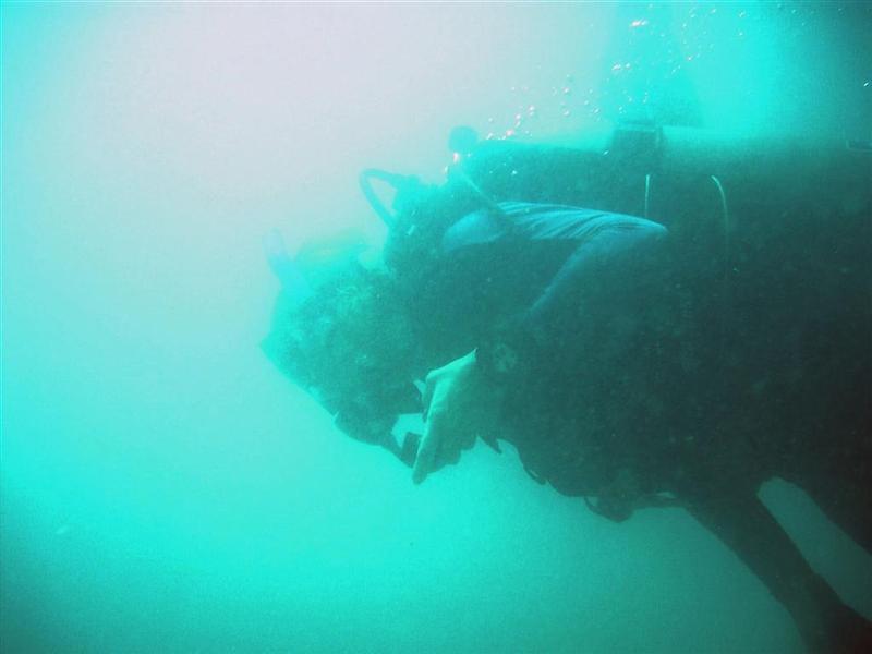 Sudany_diving_073