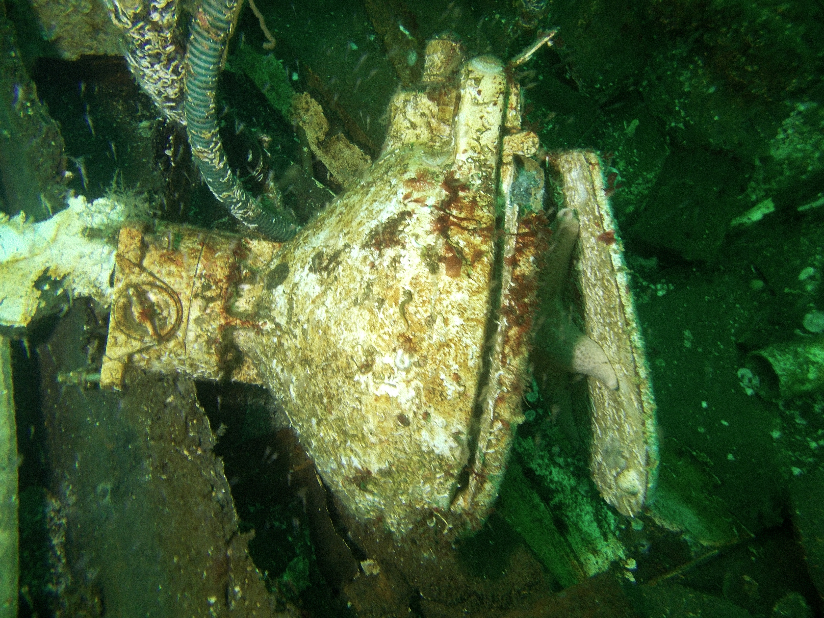 Sunken wreck and toilent - Henderson Point