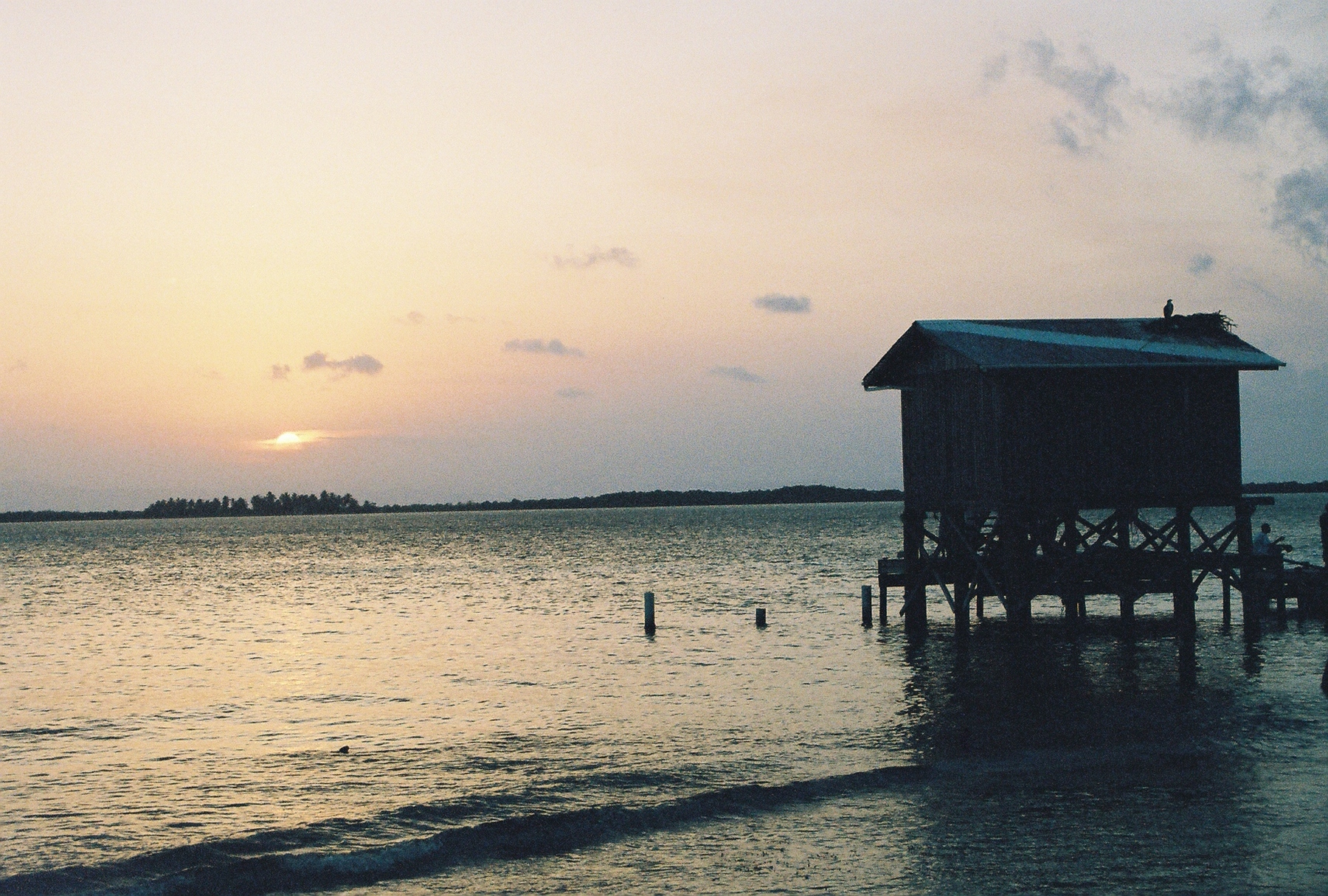 Sunset Dive Dock