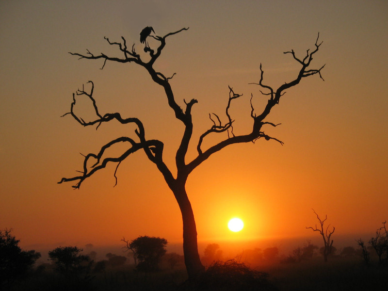 Sunset in Kruger National Park