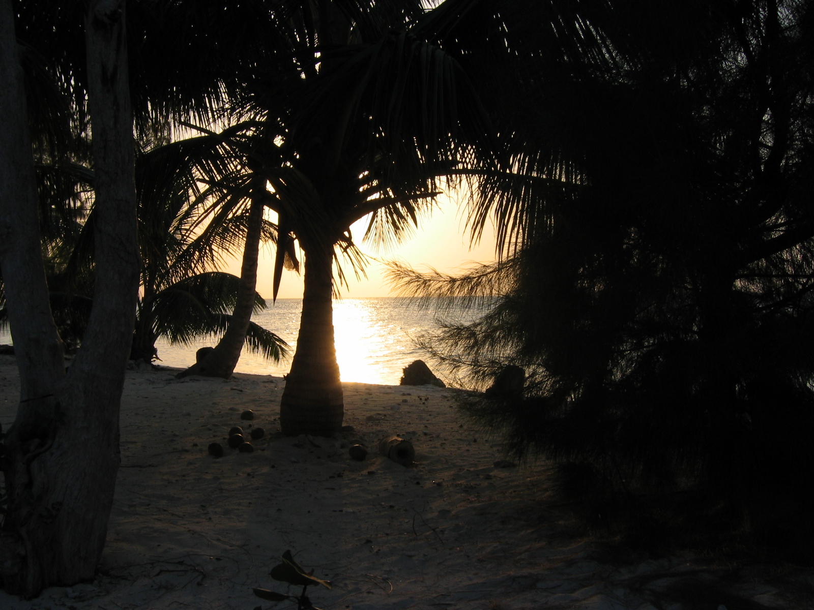 sunset-Salt water caye