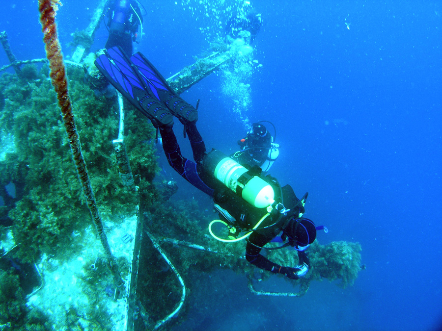 Swan wreck Dunsborough West Oz