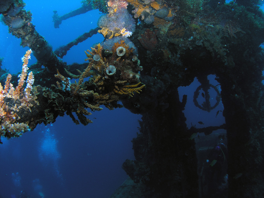 Swan wreck Dunsborough West Oz