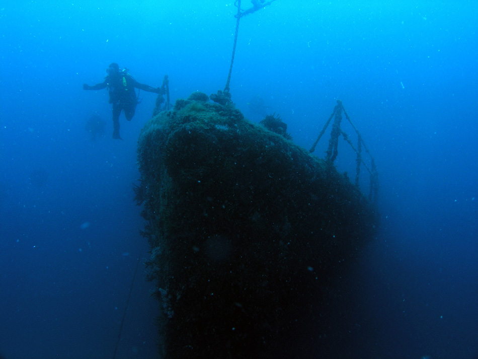 Swan wreck Dunsborough West Oz