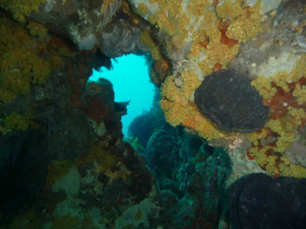 Swim throughs at Lonsdale Arches