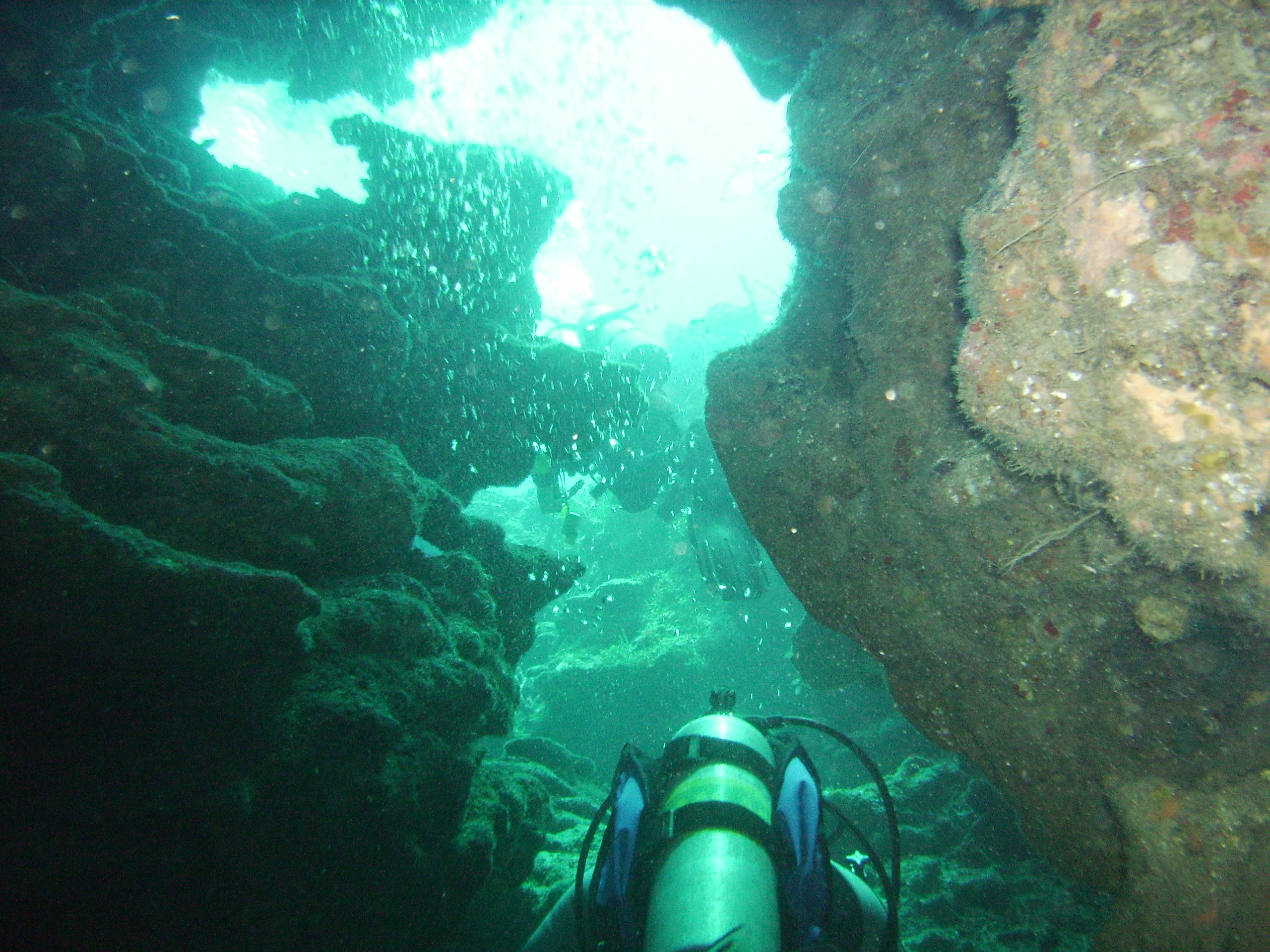 Swimming the crack Roatan