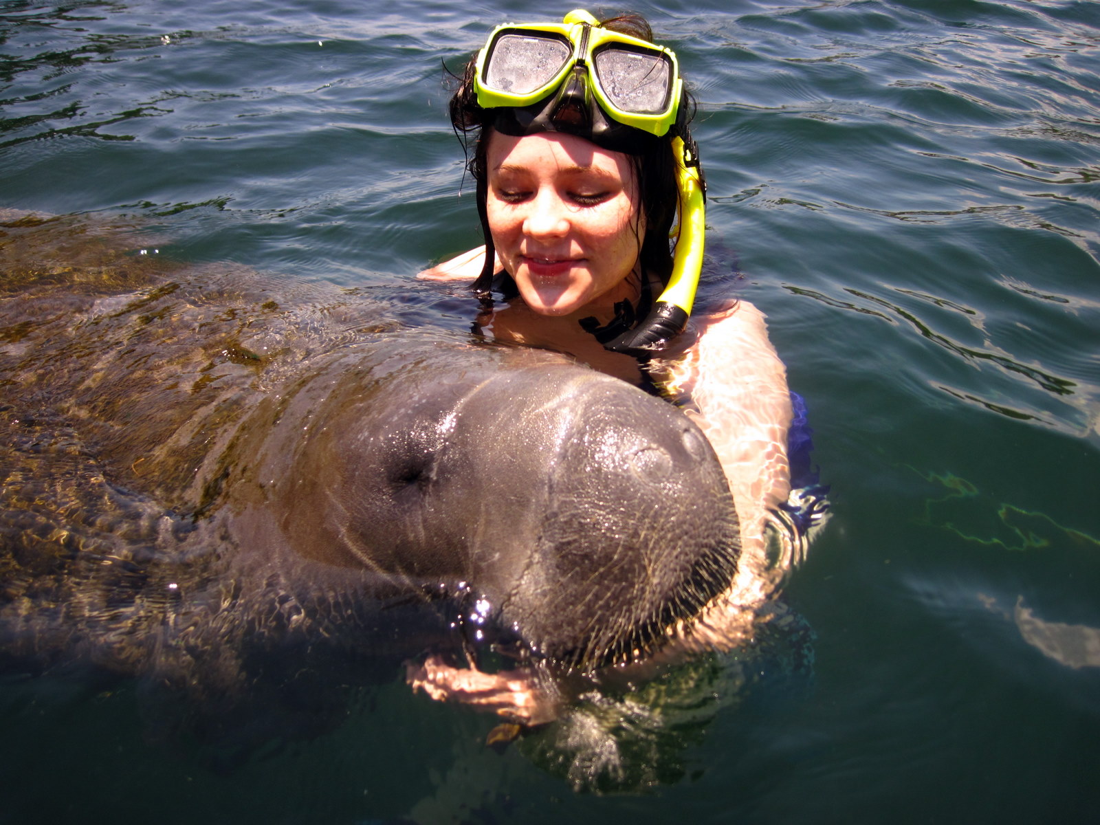 Swimming with Manatees in Crystal River