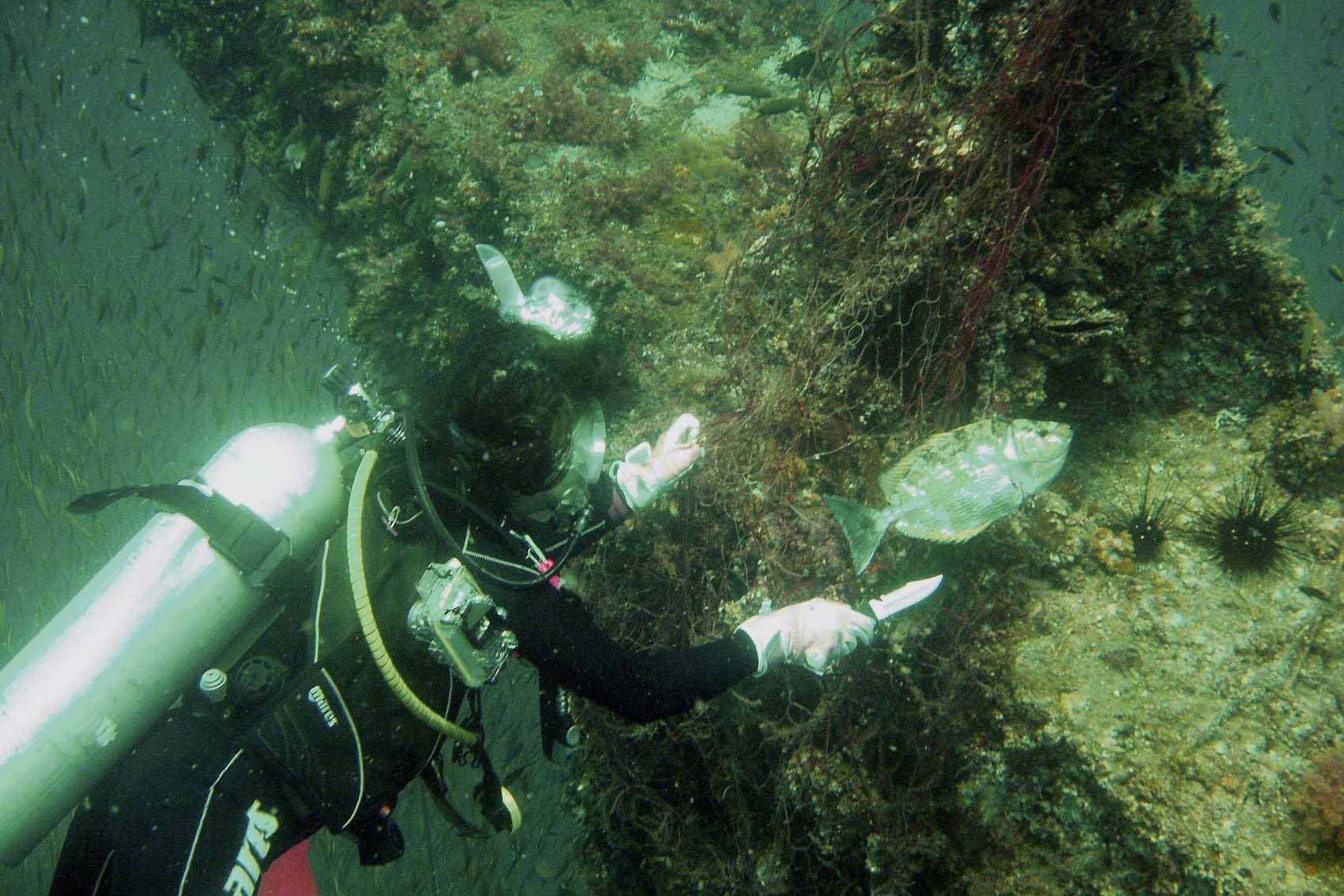 Takako save the fish