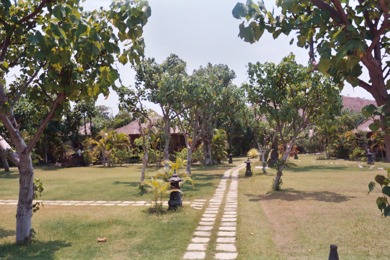 Taman Sari Resort, Pemuteran, Bali