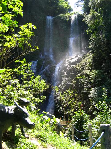 tamaraw falls