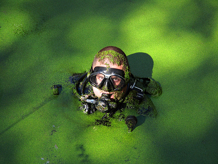 tempMatDuckweed