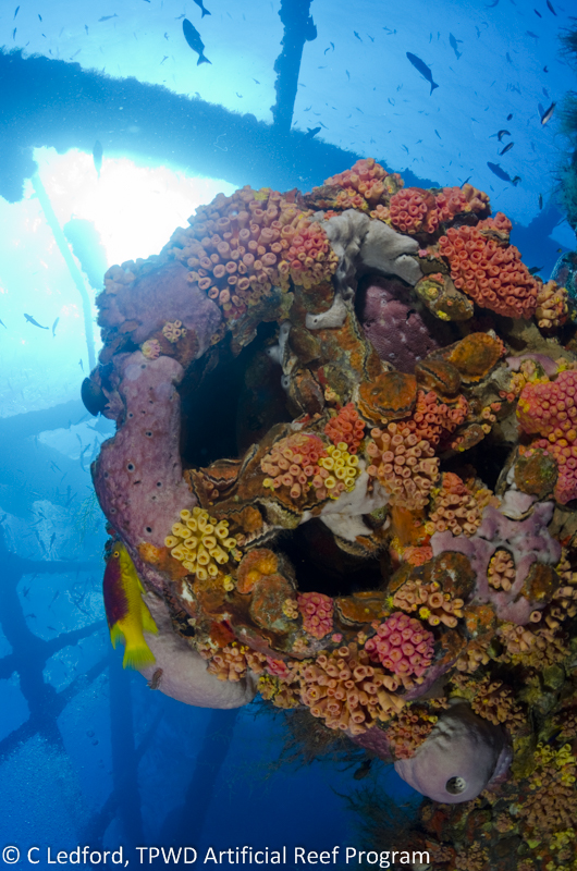 Texas Artificial Reefs