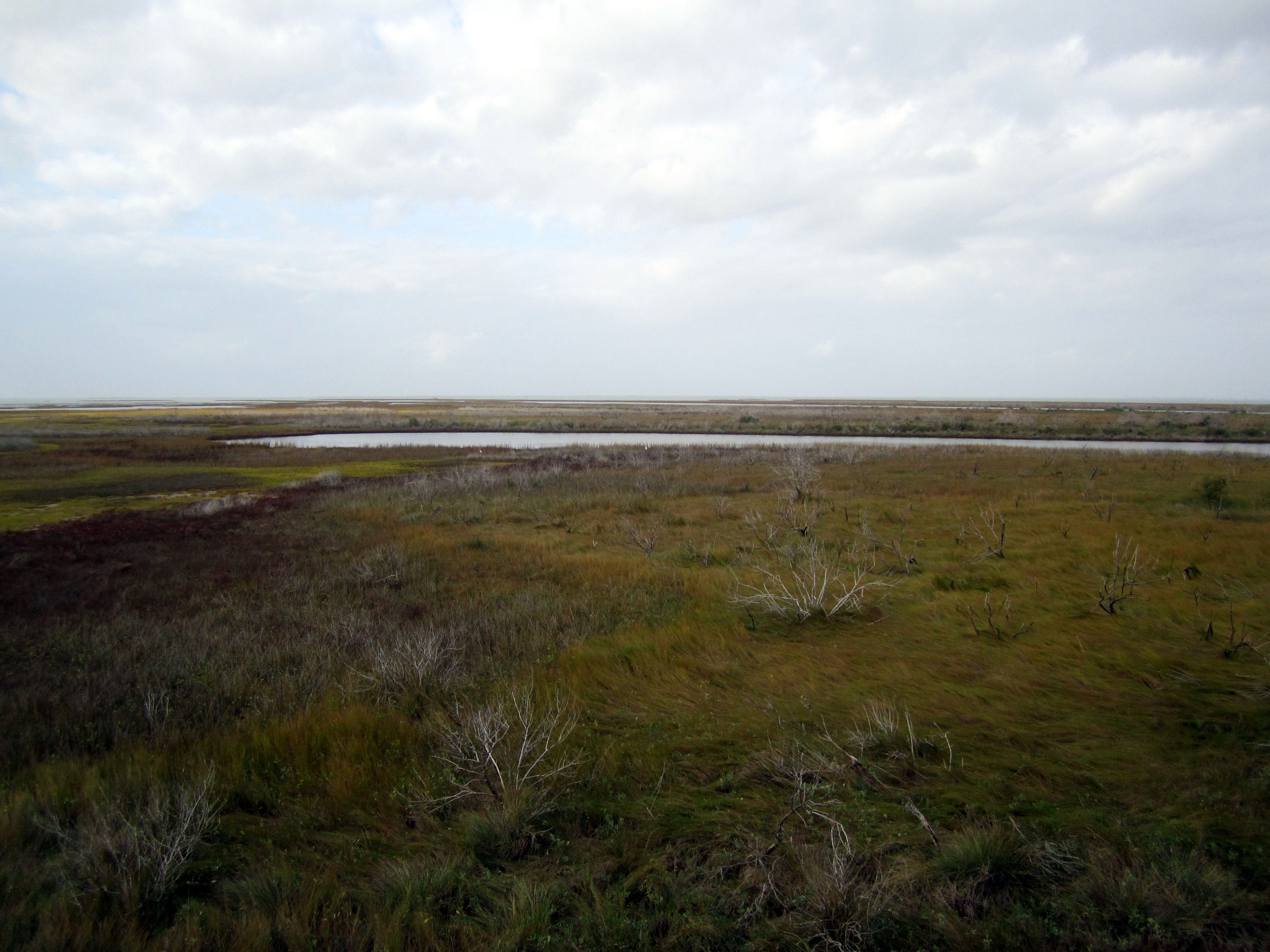 Thanksgiving_Galveston_11-25-2010_4-23-09_PM