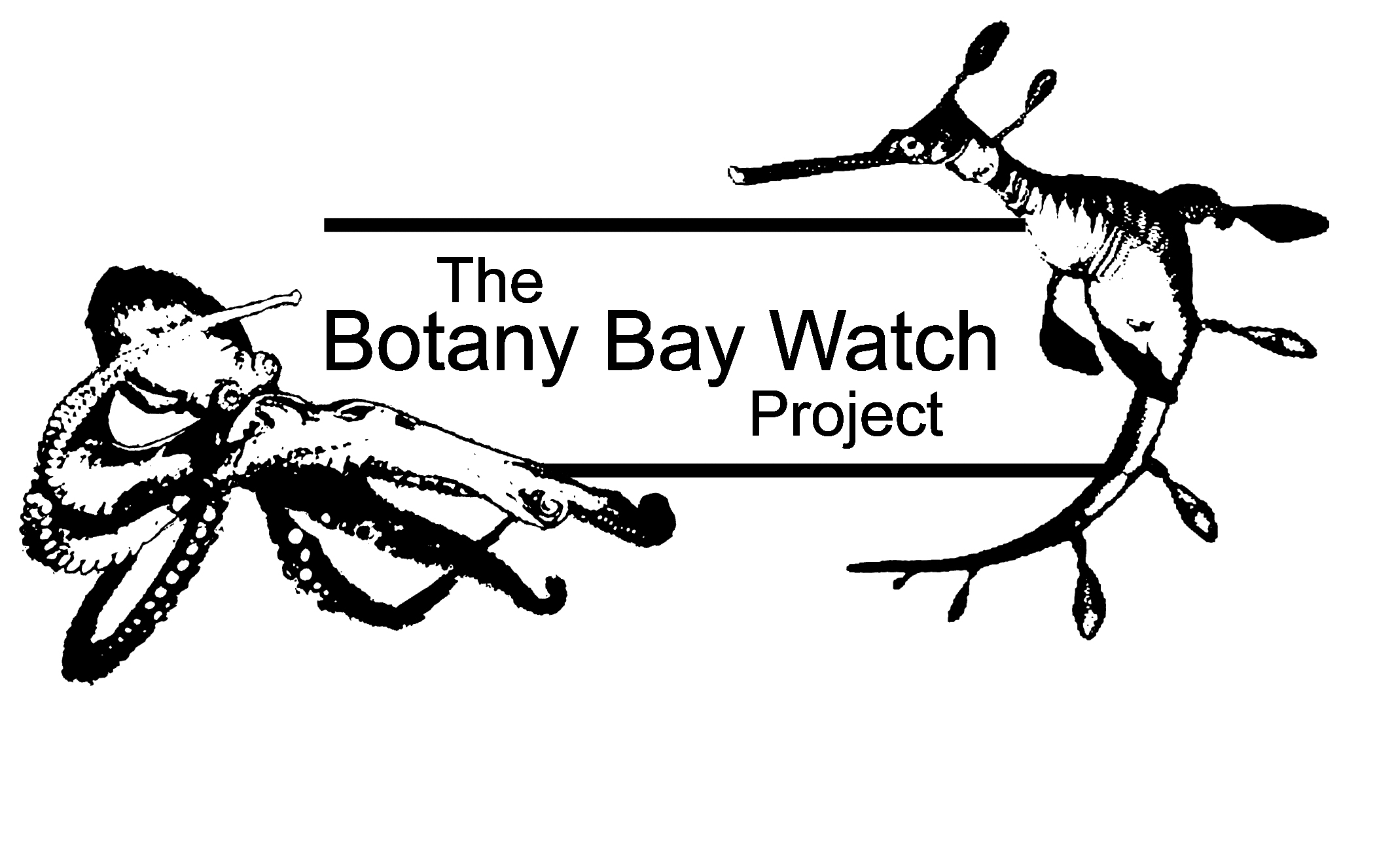 The Botany Bay Watch Project.