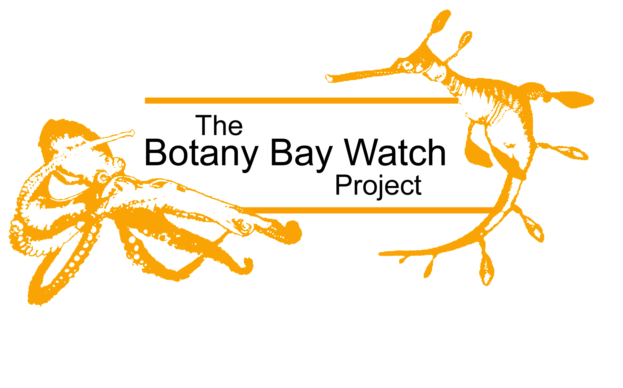 The Botany Bay Watch Project.