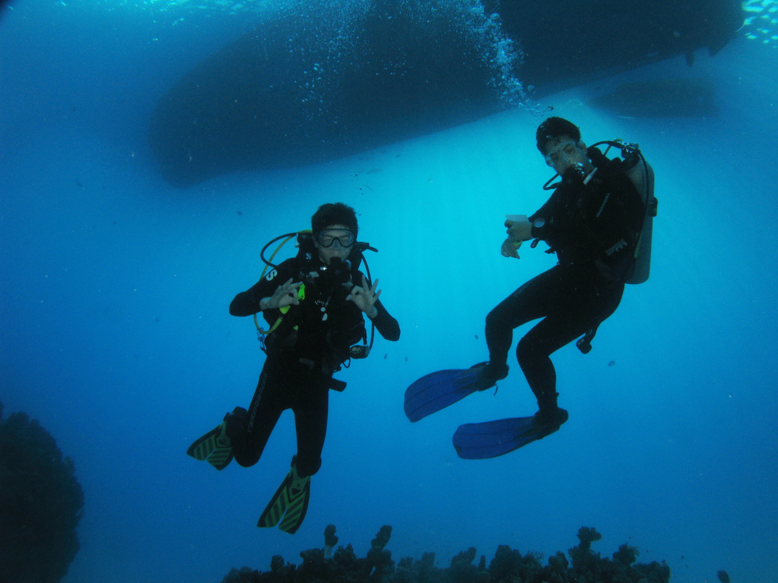 The boys on the morning dive