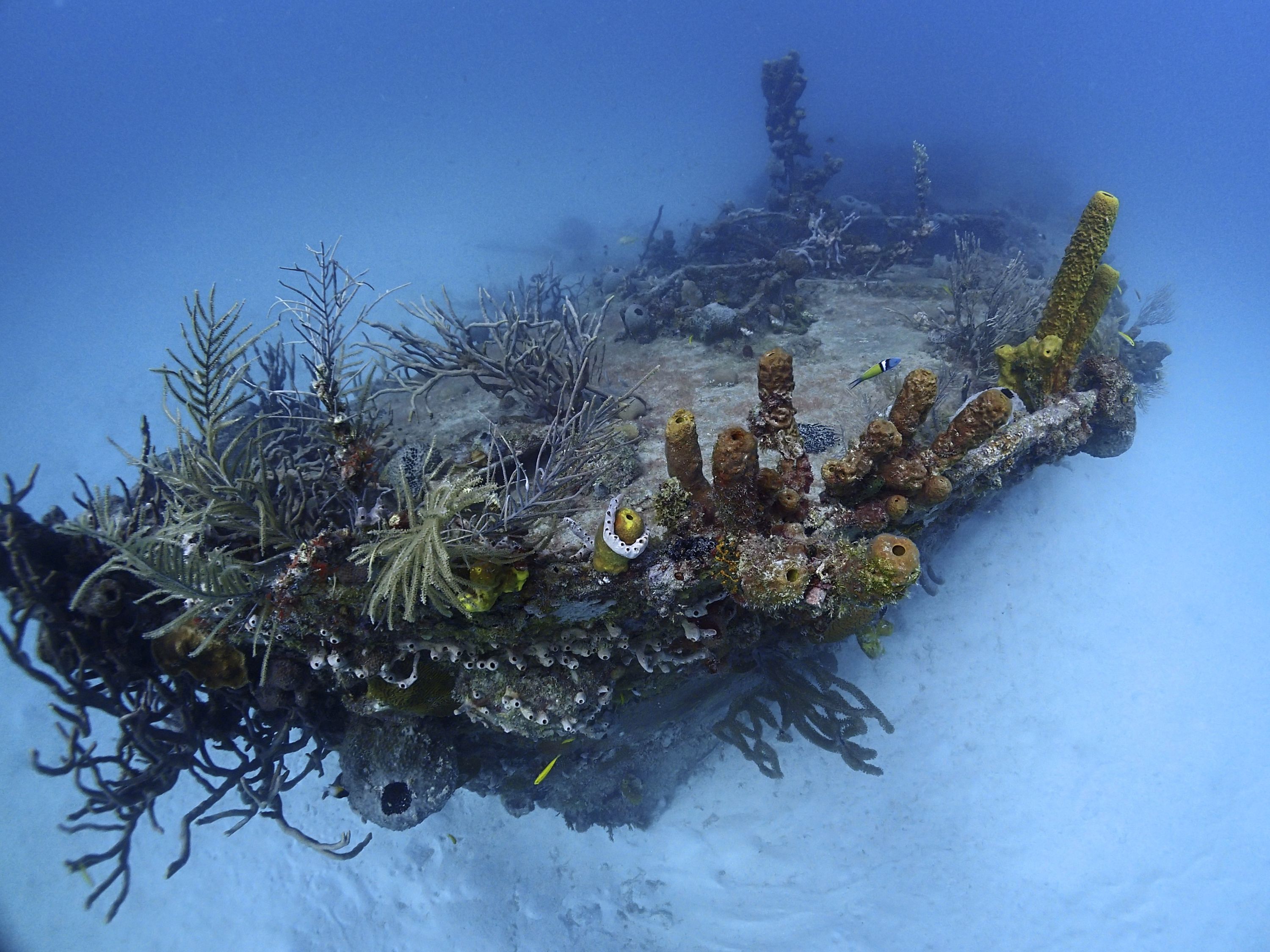 The C-trek, Carlisle Bay, Barbados