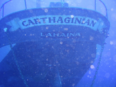 The Carthaginian
