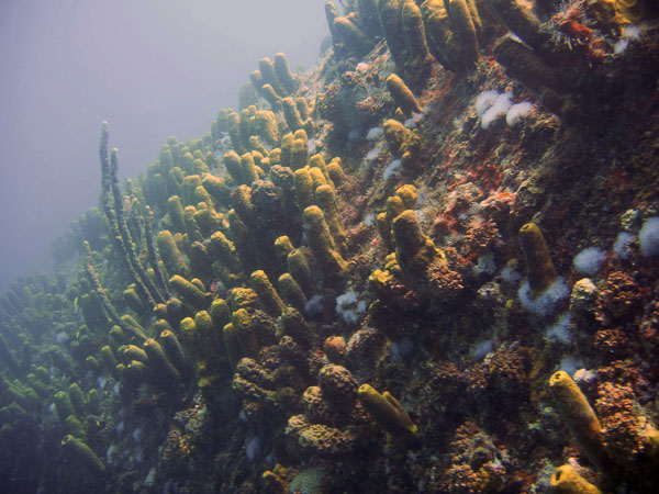 The deck of the Antilla, Aruba