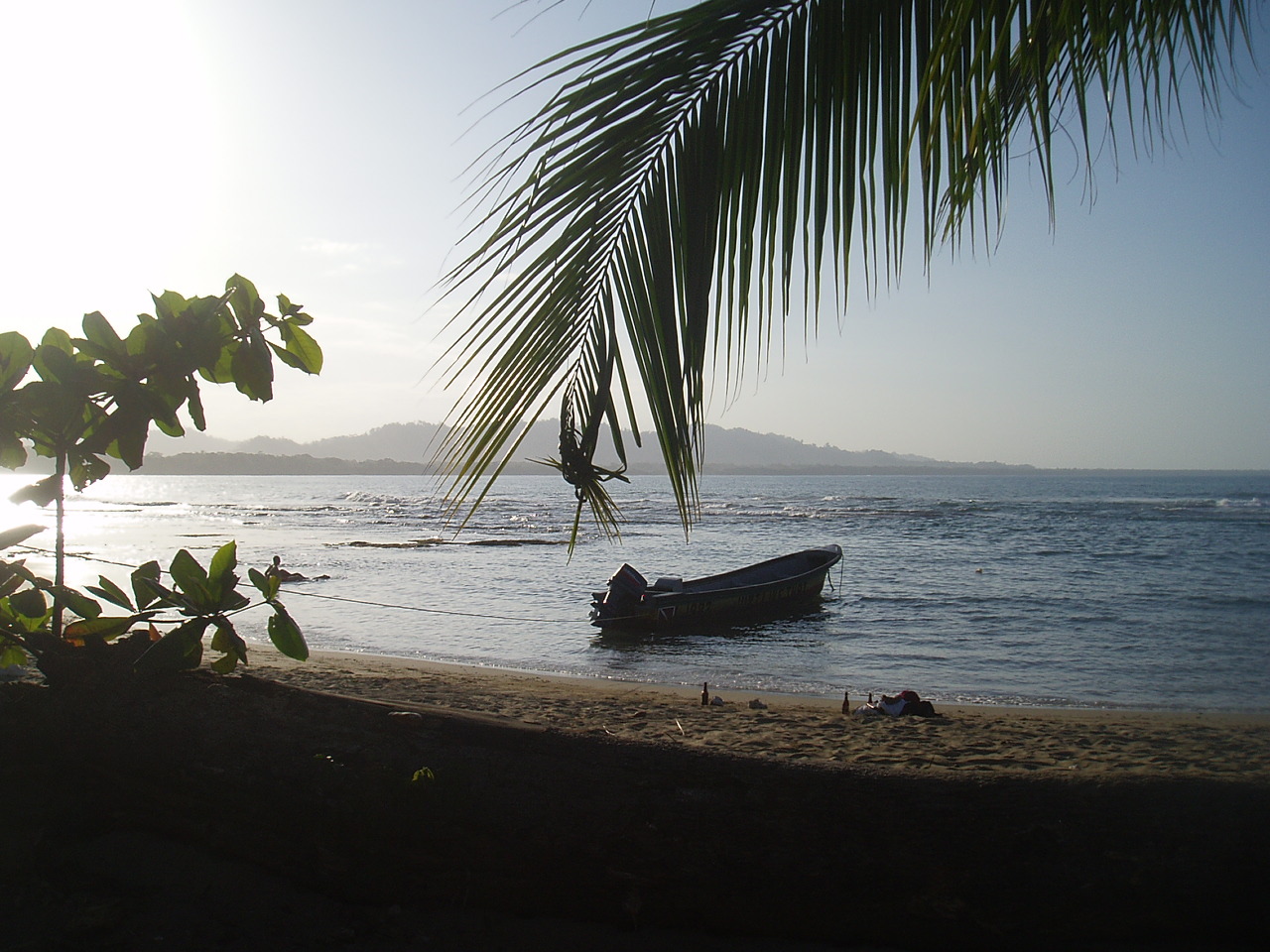 The Dive Boat