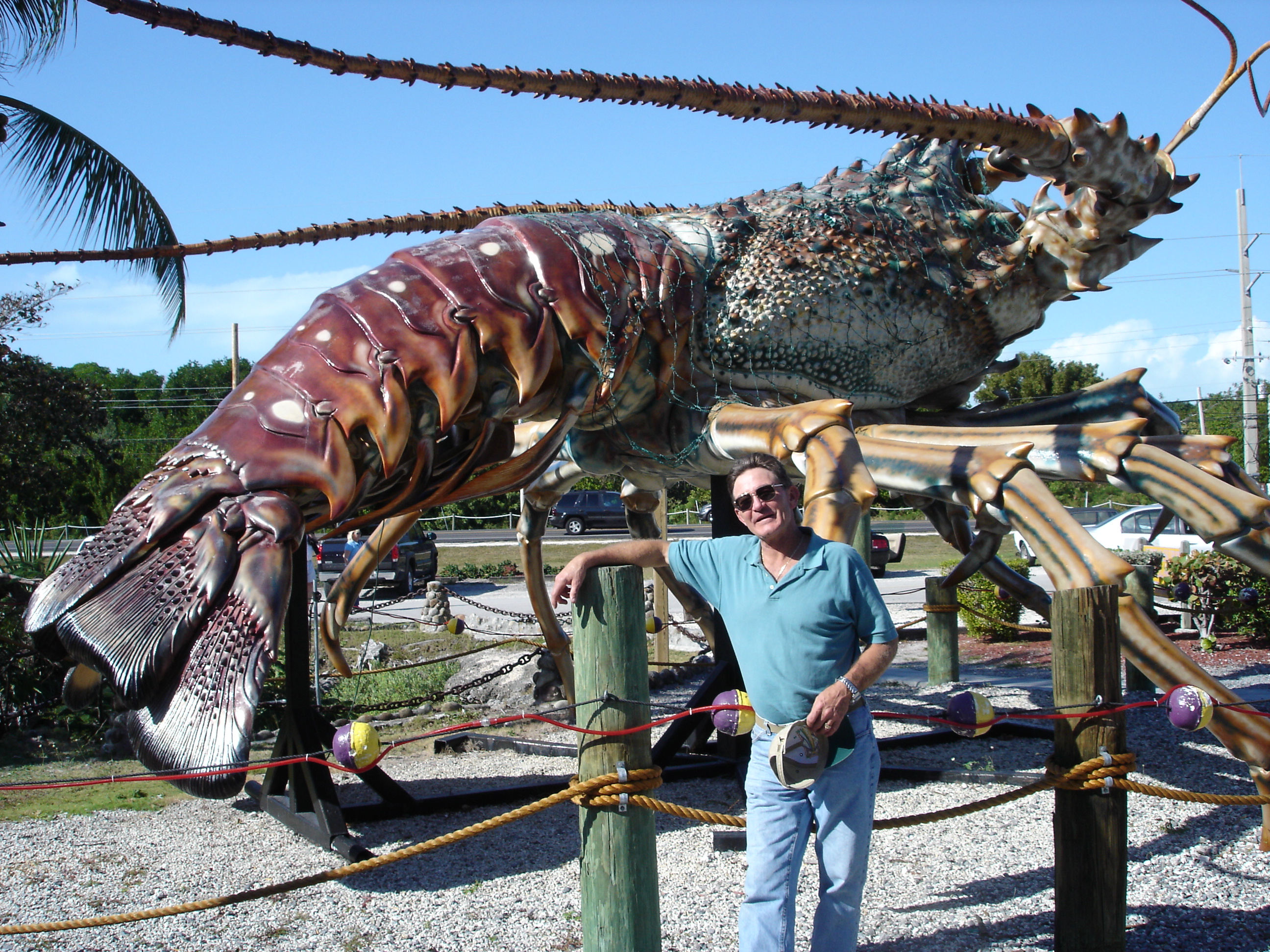 The Giant Lobster with its Daddy, January 2005