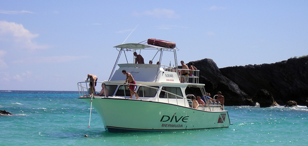 The Narcosis - Dive Bermuda Dive Shop