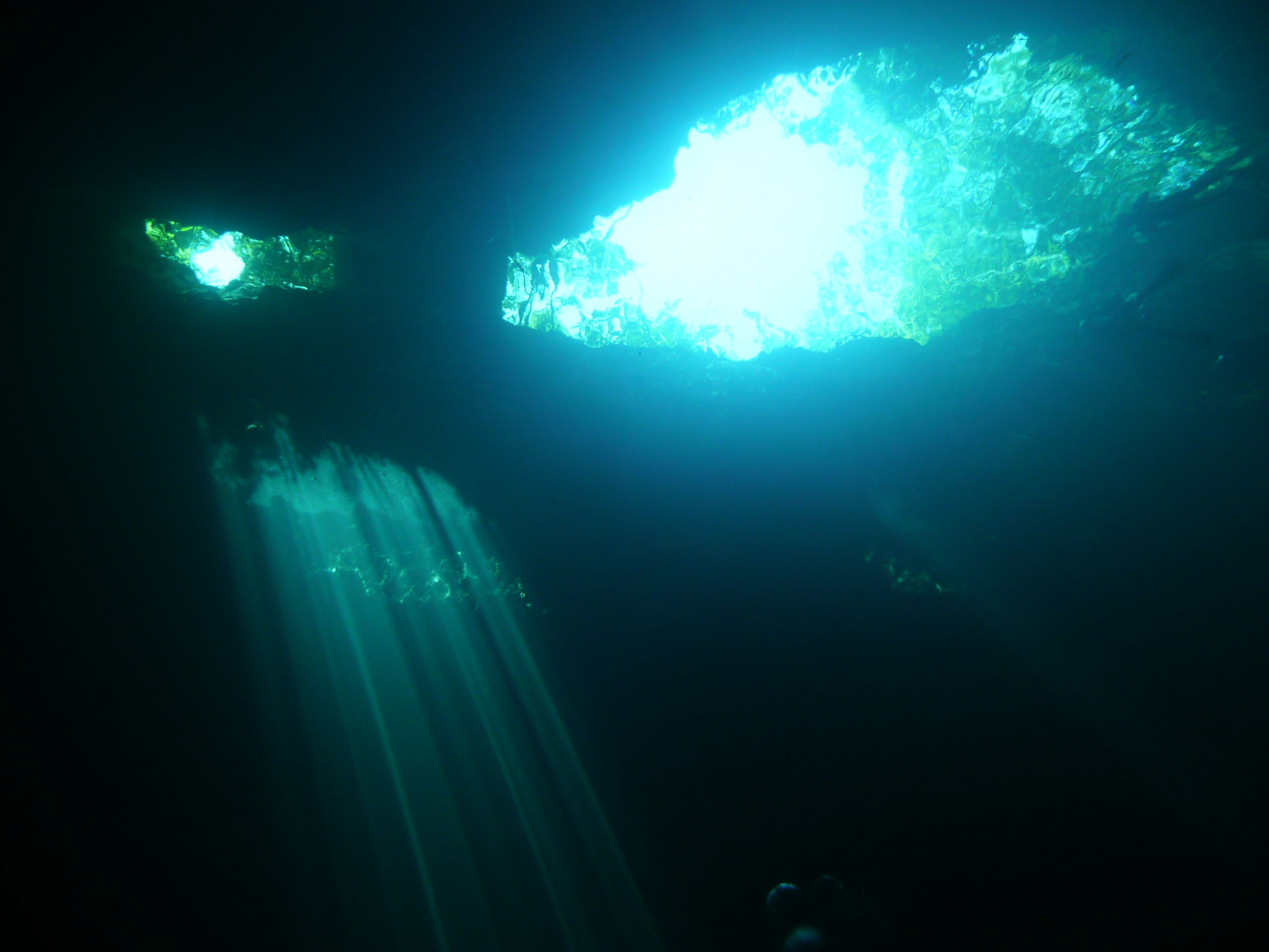 the Pit cenote with DIVING CENOTES