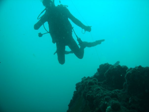 The Produce wreck just north of Aliwal Shoal. .