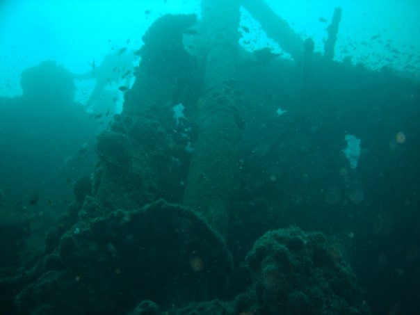 The Produce wreck just north of Aliwal Shoal. .