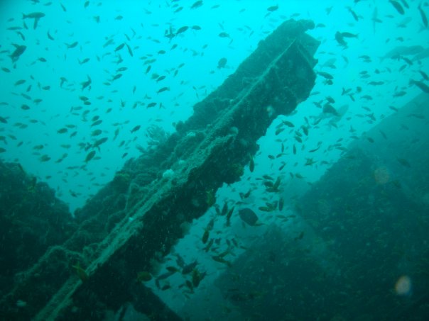 The Produce wreck just north of Aliwal Shoal. .