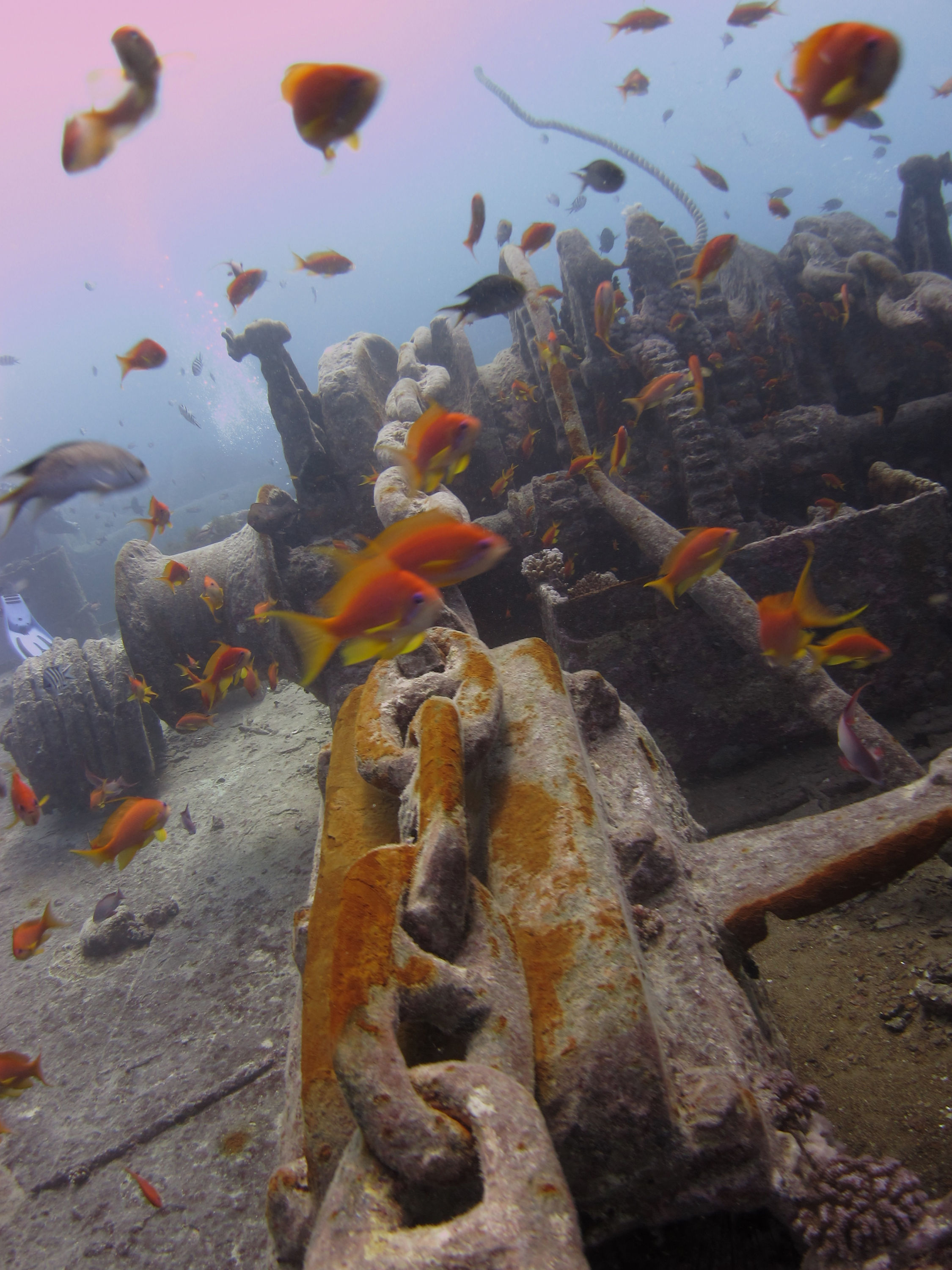 The SS Thistlegorm