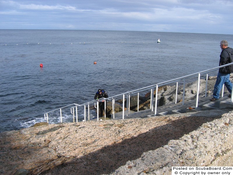 the steps at the Casino dive park