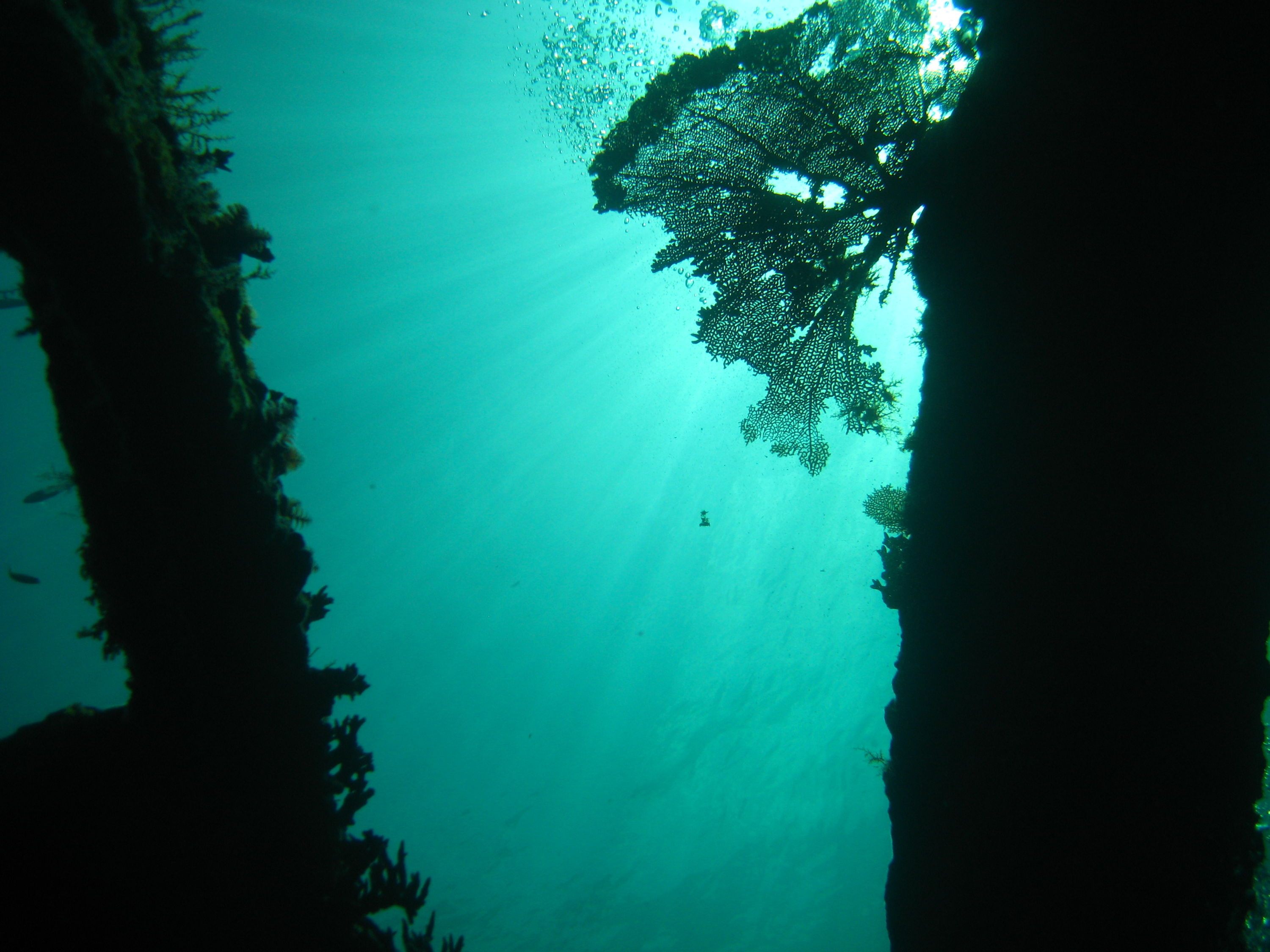 The Wreck of the Benwood