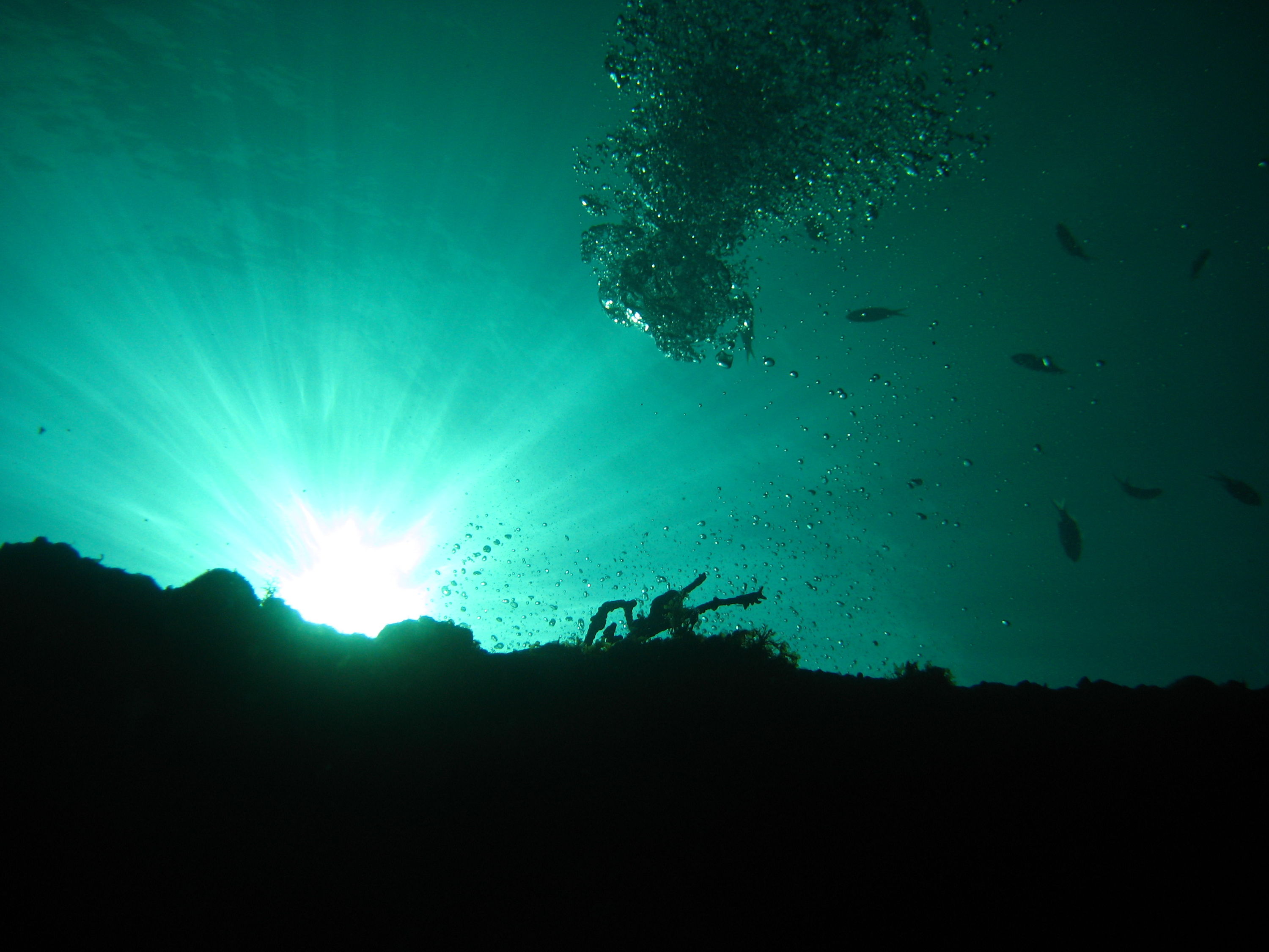 The Wreck of the Benwood