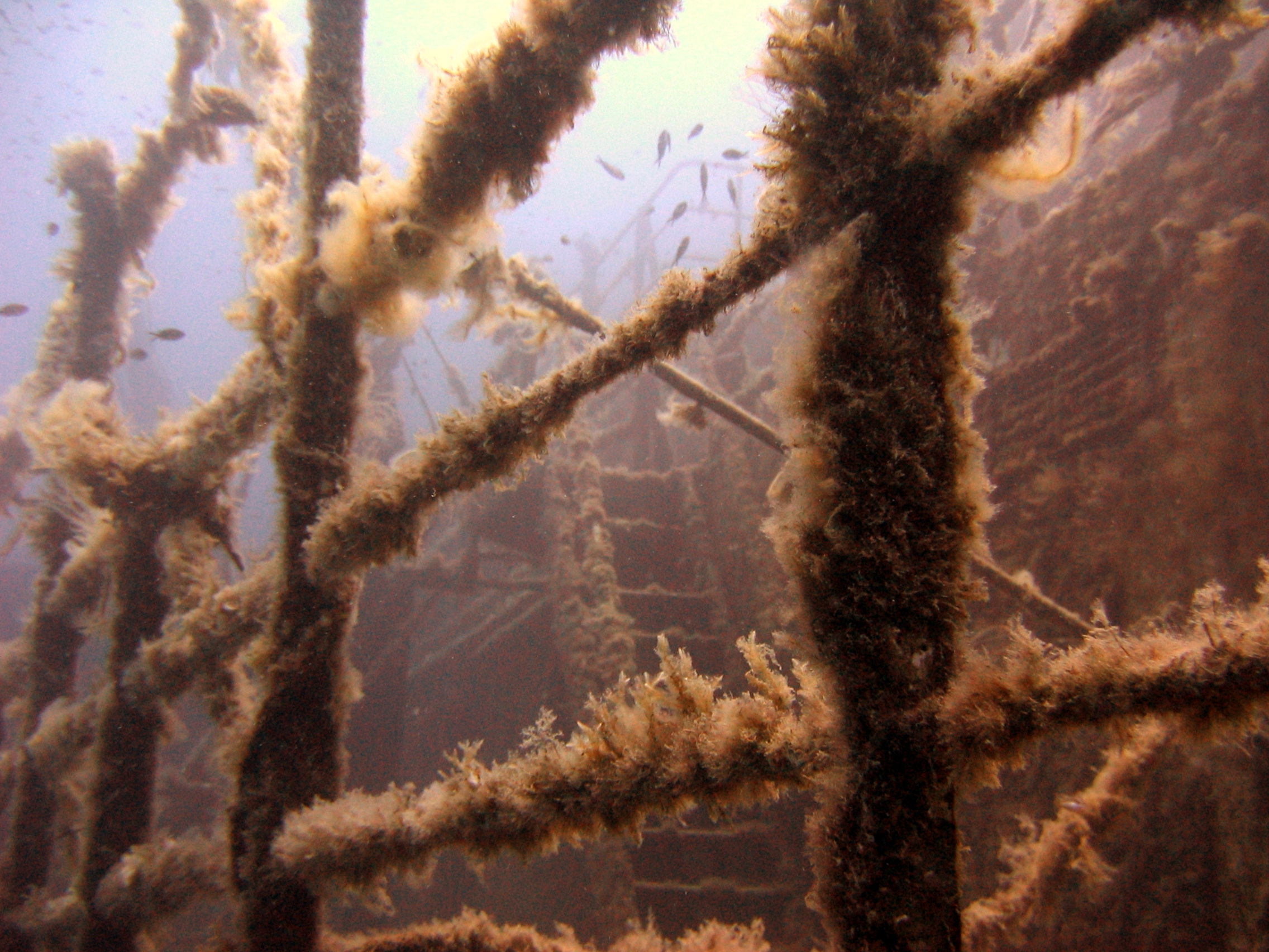 the wreck of the Um El Faroud