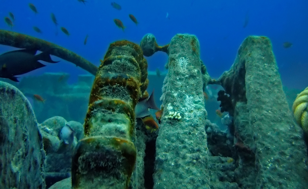 Thistlegorm wreck