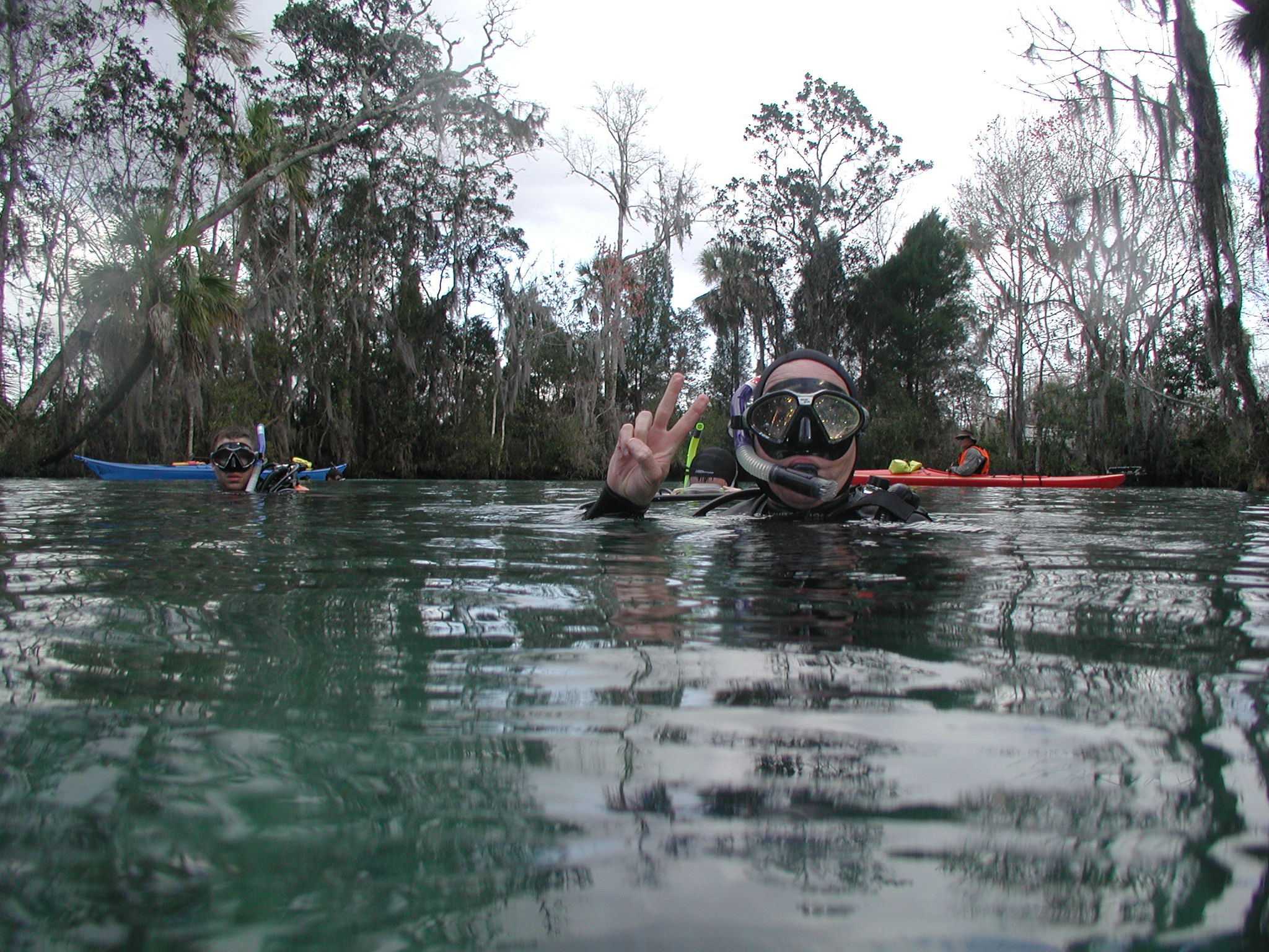 Three Sisters Spring: Manatees Below!