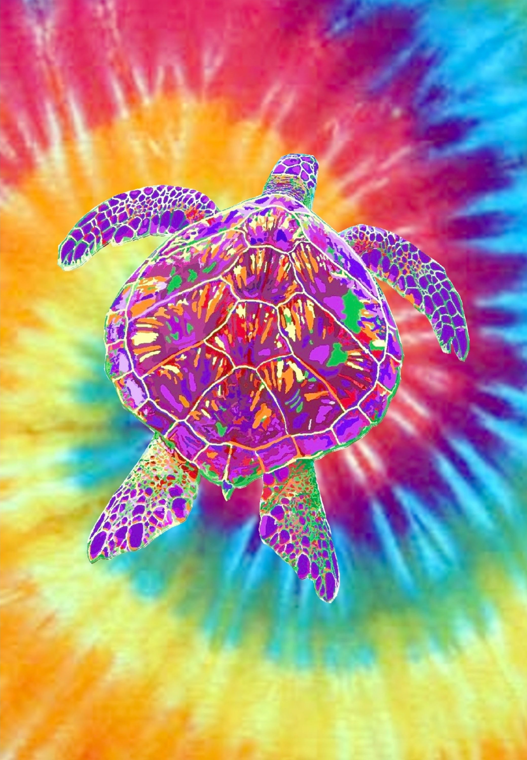 Tie-Dye Turtle