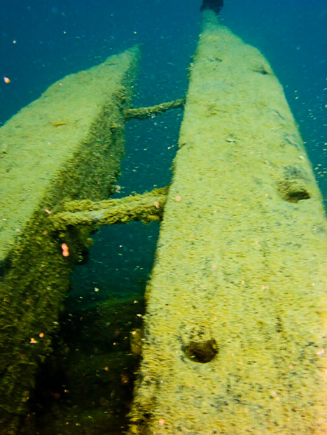 Tobermory Wreck diving King/Newaygo