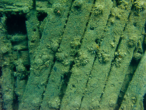 Tobermory Wreck diving King/Newaygo