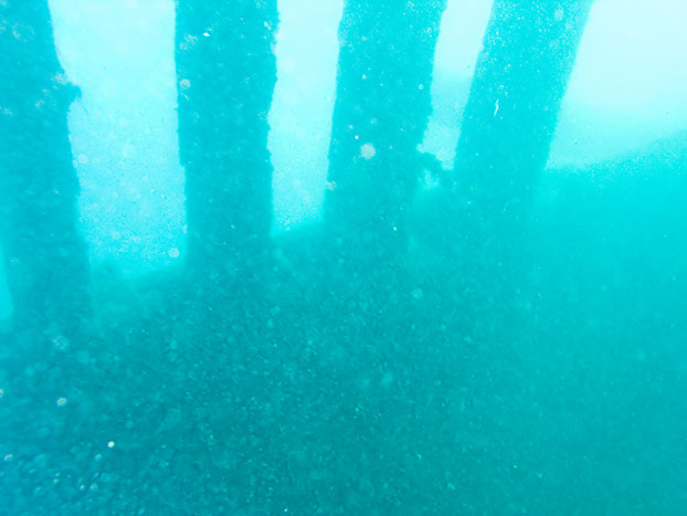 Tobermory Wreck diving King/Newaygo