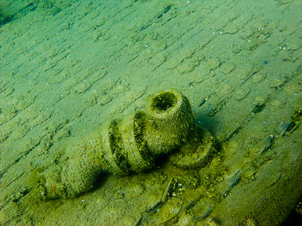 Tobermory Wreck diving King/Newaygo