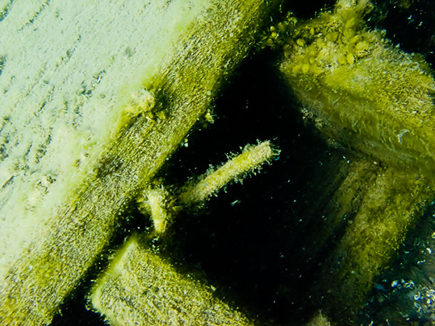 Tobermory Wreck diving King/Newaygo