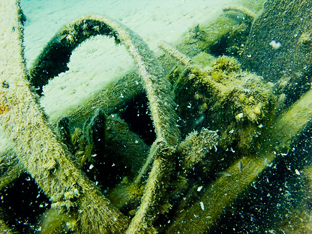 Tobermory Wreck diving King/Newaygo