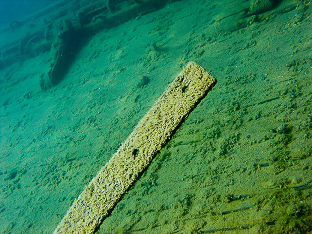 Tobermory Wreck diving King/Newaygo